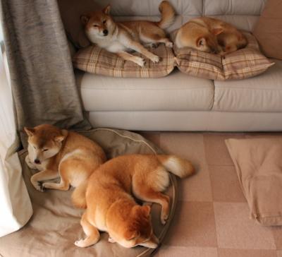 JiuyouAPP下载-大师赛标题：谁能掀起冠军新篇章？，大师赛冠军排名