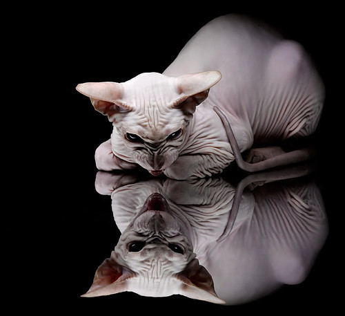 -篮球运动心理训练纳入常规教学，篮球心理素质训练