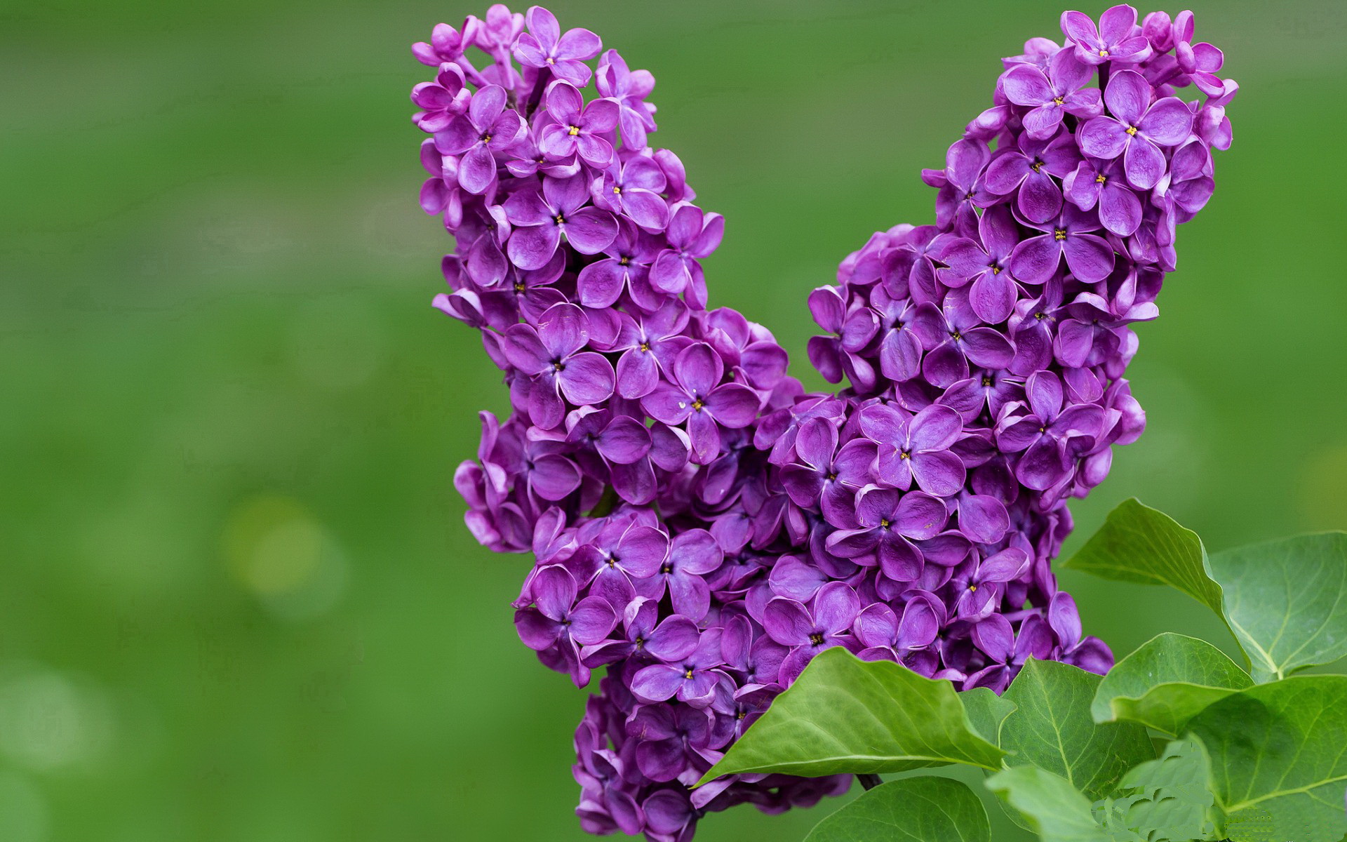 釣魚比赛:静谧中的运动艺术,钓鱼比赛有什么意义