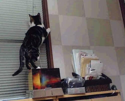 九游电脑版-中超转会市场活跃，球队补强有，中超重磅转会