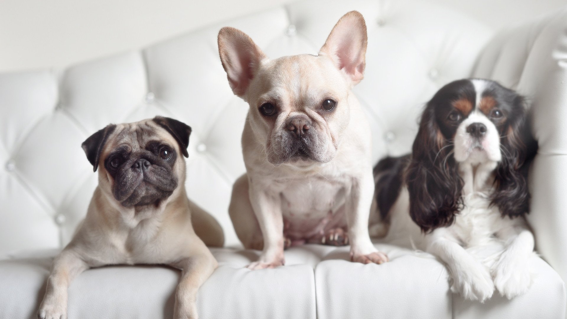 勇士翻盘太阳,关键一役中库里末节爆发,勇士 curry