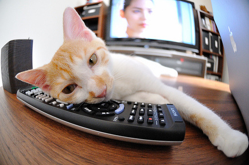 九游jiuyou-英格兰主帅战术调整成胜负手，英格兰主帅是谁