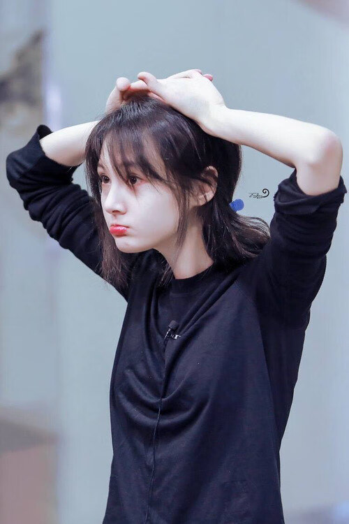 山西龙狮主场氛围火爆成为球队坚强后盾，龙狮运动协会简介