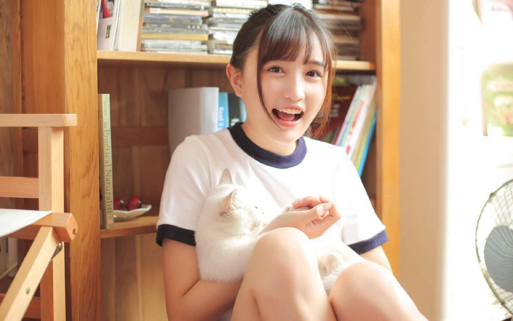 国王重点演练快攻转换保持进攻压迫,国王进攻集锦